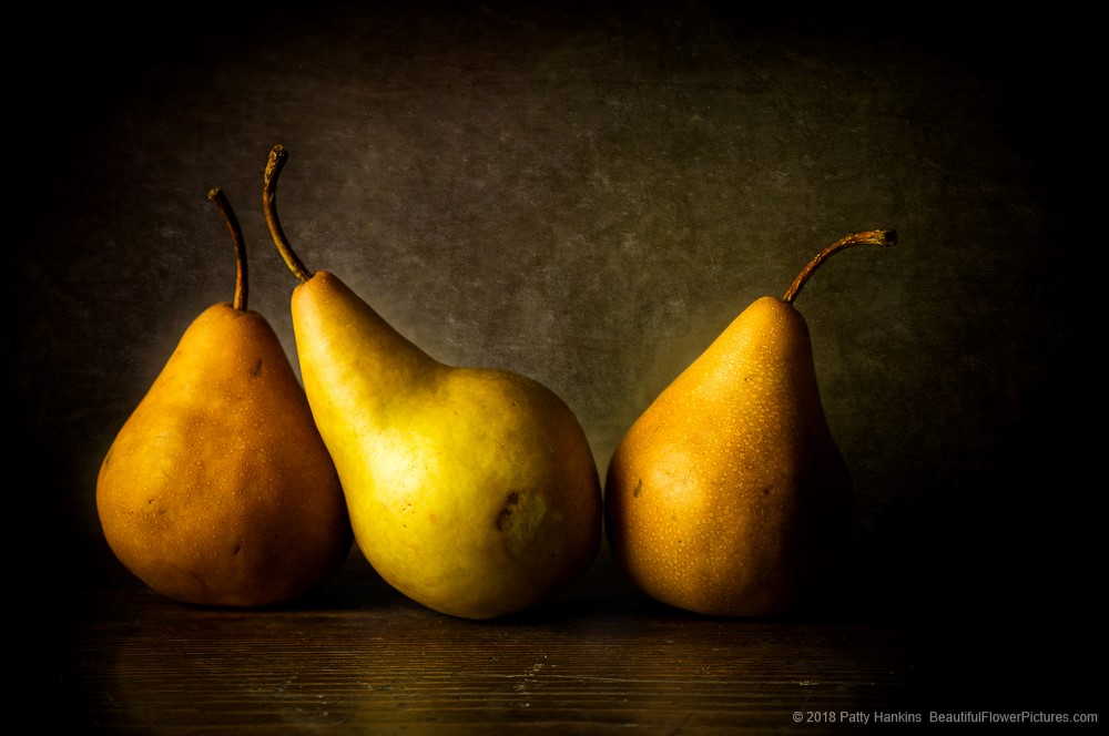 Pears (c) 2018 Patty Hankins