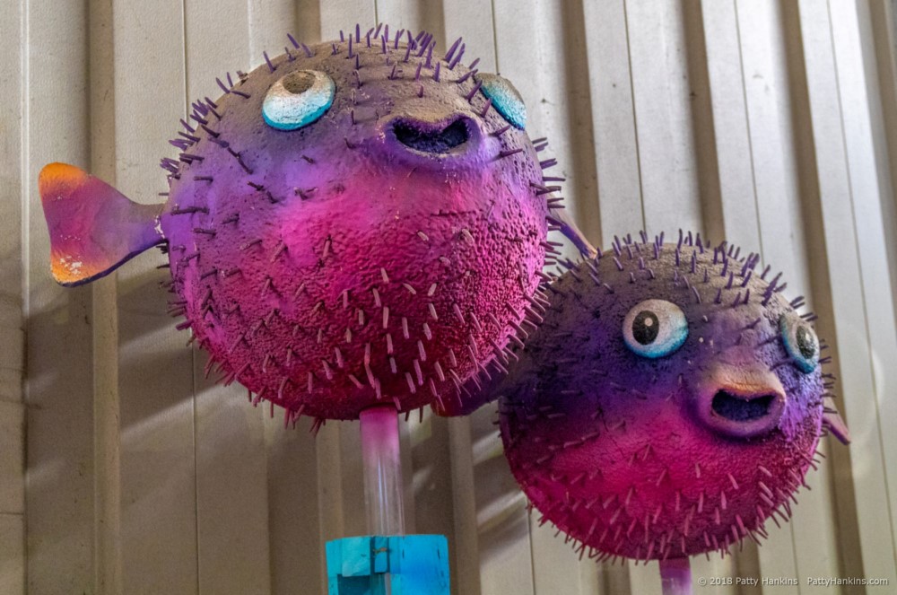 Puffer Fish at Mardi Gras World, New Orleans © 2018 Patty Hankins