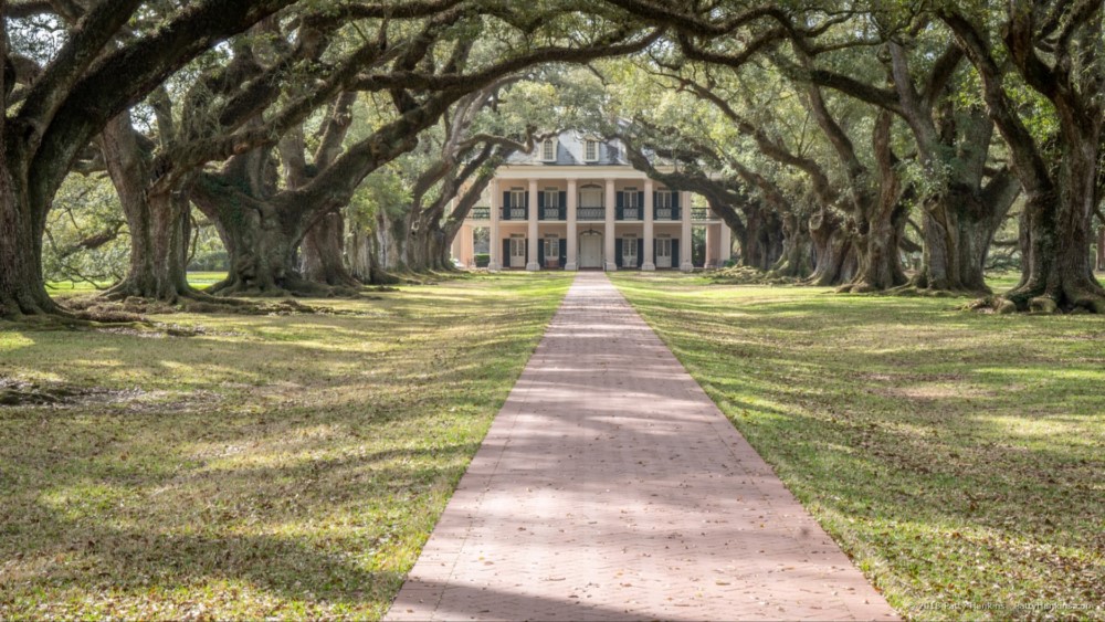 Oak Alley Plantation, Vacharie, Louisiana © 2018 Patty Hankins