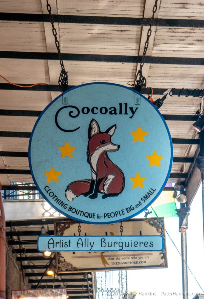 Cocoally © 2018 Patty Hankins