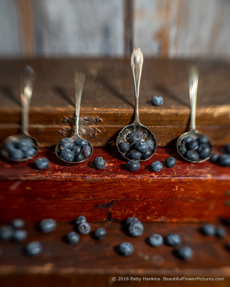 Blueberries  © 2018 Patty Hankins