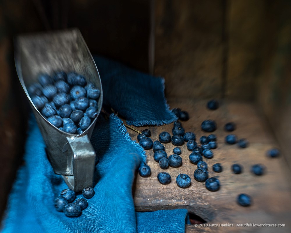 Blueberries  © 2018 Patty Hankins