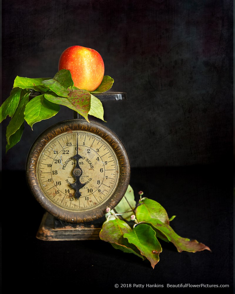 Apple on a Scale  © 2018 Patty Hankins