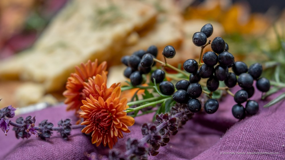 Shortbread, Flowers & Berries  © 2018 Patty Hankins