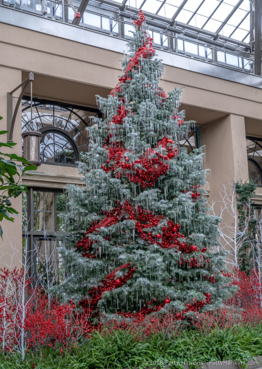 East Conservatory Tree, Christmas at Longwood Gardens, 2018 ©2018 Patty Hankins