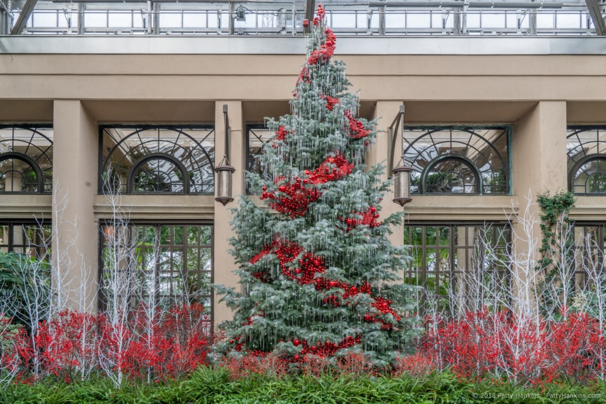 East Conservatory Tree, Christmas at Longwood Gardens, 2018 ©2018 Patty Hankins