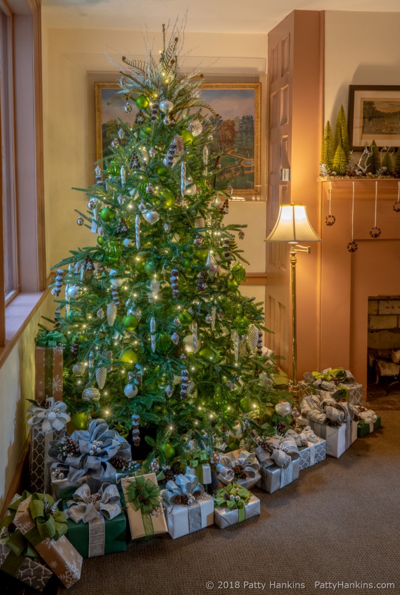 Christmas at the DuPont House, Longwood Gardens, 2018 © 2018 Patty Hankins