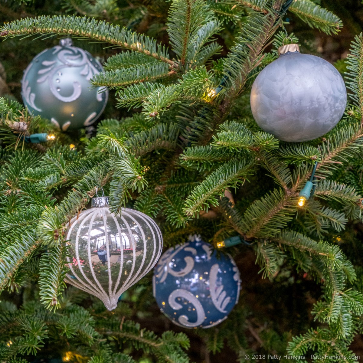 Decorations in the Conservatory, Longwood Gardens, Christmas 2018 © 2018 Patty Hankins