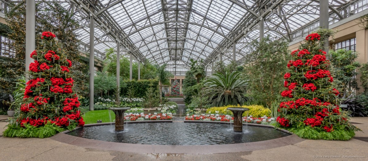 East Conservatory, Longwood Gardens, Christmas 2018 © 2018 Patty Hankins