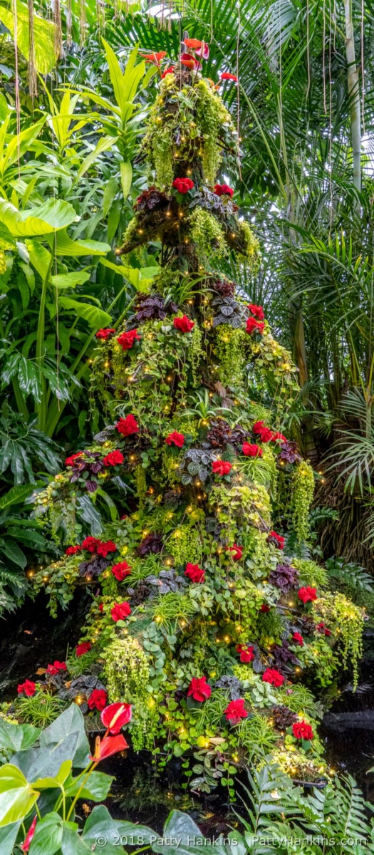 The Tropical Terrace Tree, Christmas at Longwood Gardens, 2018 © 2018 Patty Hankins