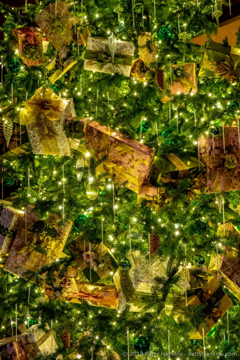 In the Organ Room, Longwood Gardens, Christmas 2018 © 2018 Patty Hankins