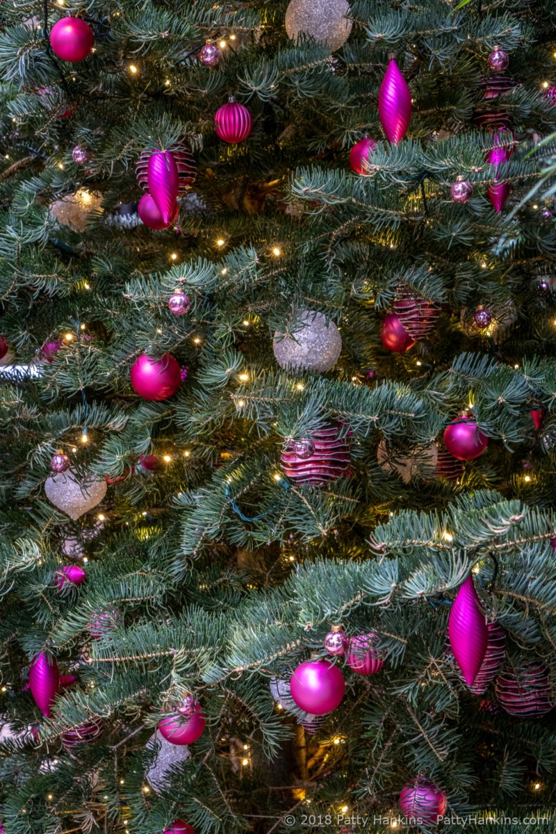 Decorations in the Conservatory. Longwood Gardens, Christmas 2018 © 2018 Patty Hankins