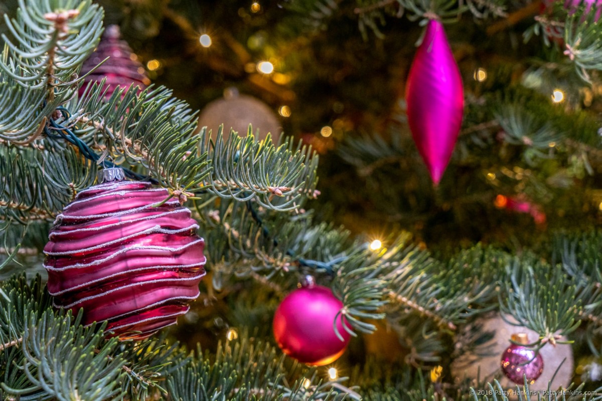 Decorations in the Conservatory. Longwood Gardens, Christmas 2018 © 2018 Patty Hankins