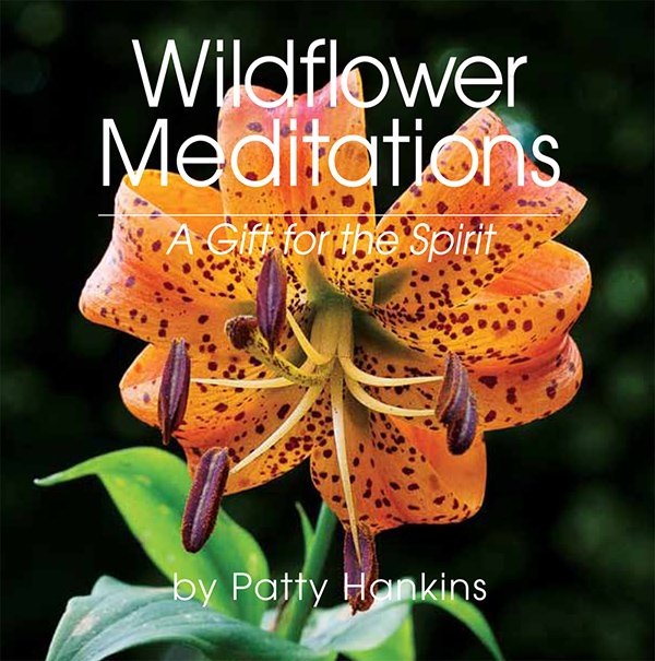 Wilflower Meditations