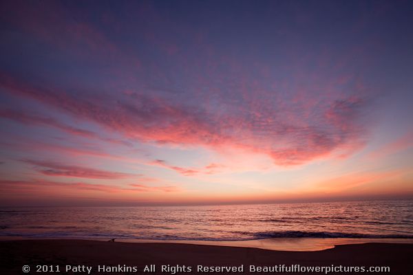 Sunrise at Assateague island