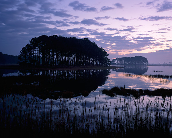 Chincoteague sunrise