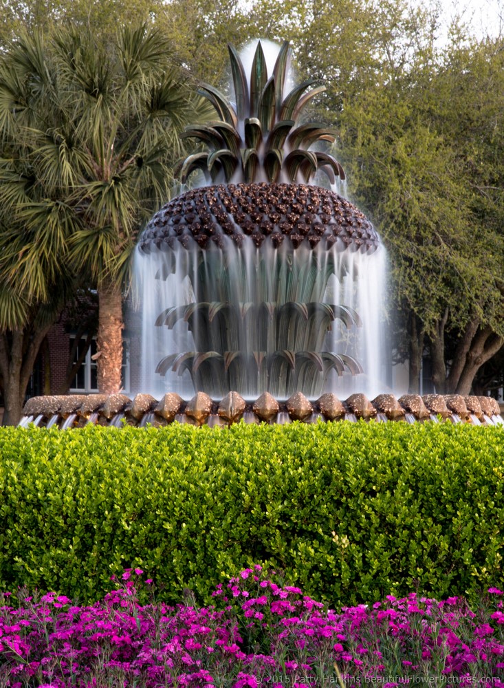 2015_09_charleston_fountain_4571