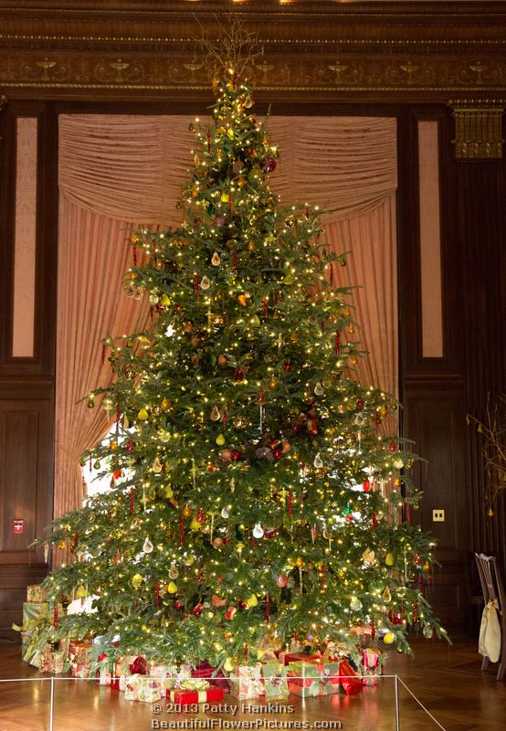 Christmas in the Music and Organ Rooms at Longwood Gardens – 2013