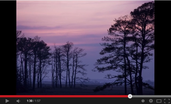 Chincoteague? In January? Join Me for Photo Workshop