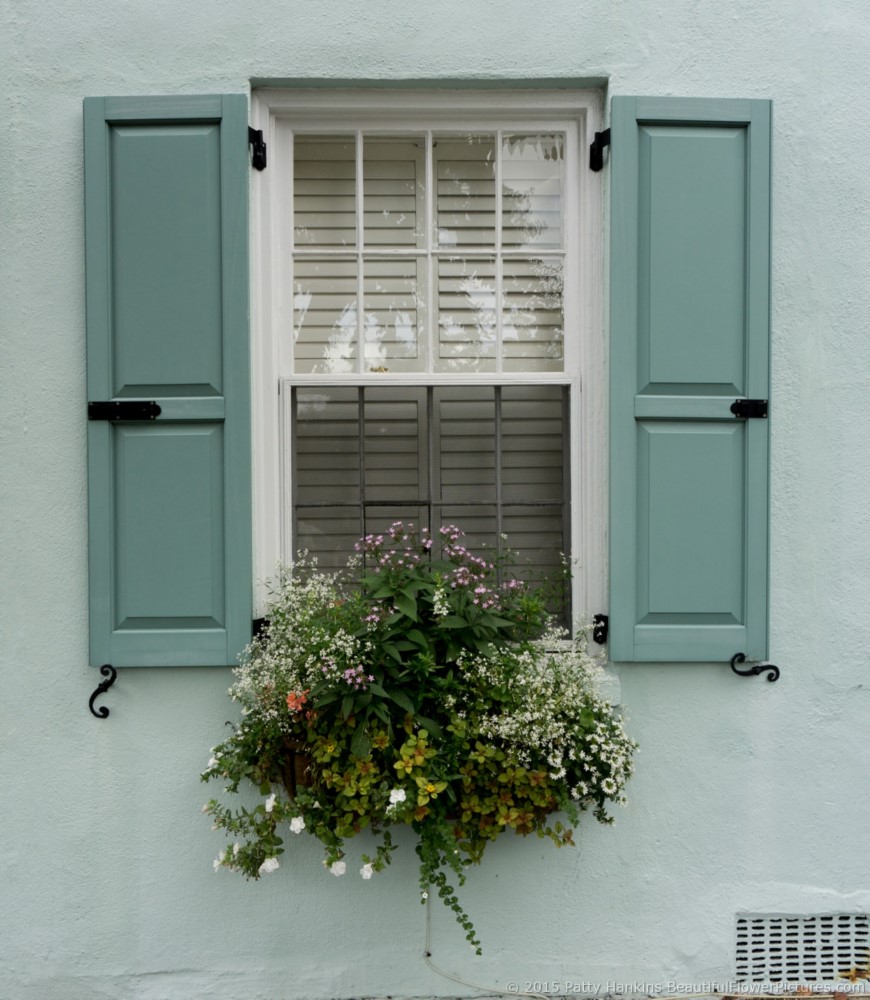 Beautiful Window Boxes in Charleston, SC | Beautiful Flower Pictures Blog