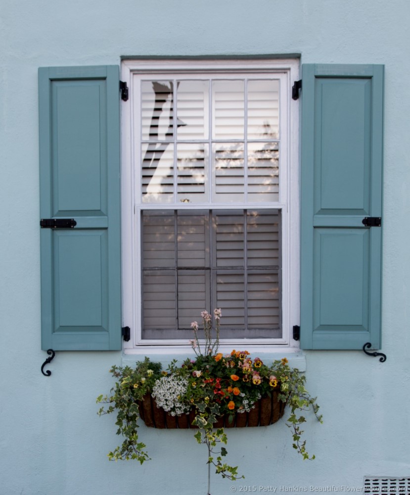 Beautiful Window Boxes in Charleston, SC | Beautiful Flower Pictures Blog