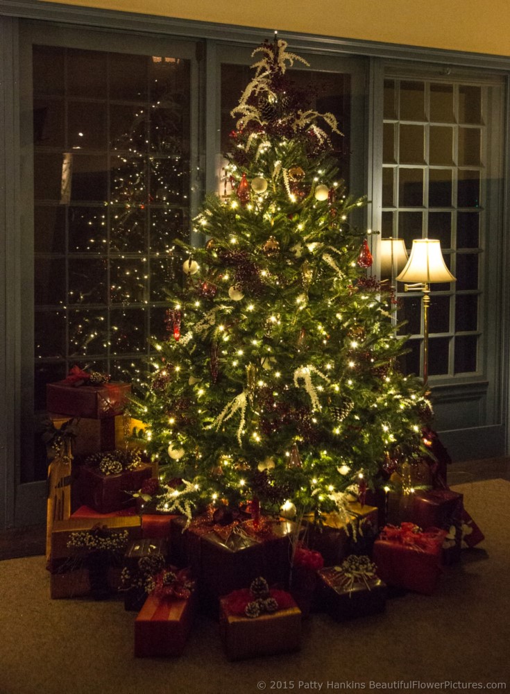 Christmas at du Pont House, Longwood Gardens – 2015