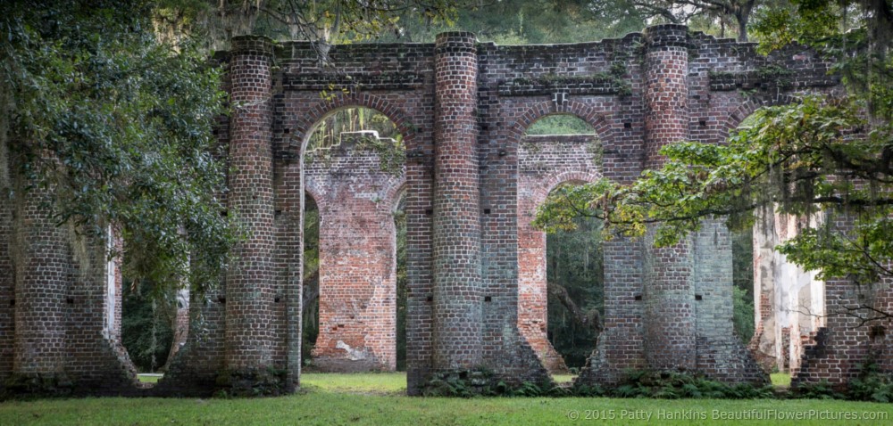 Sheldon Church Ruins, Yemansee, South Carolina © 2015 Patty Hankins