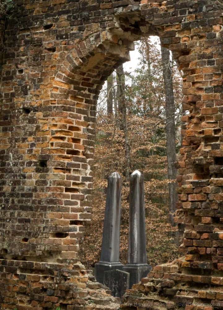 Pon Pon Chapel of Ease, Adams Run, SC © 2016 Patty Hankins