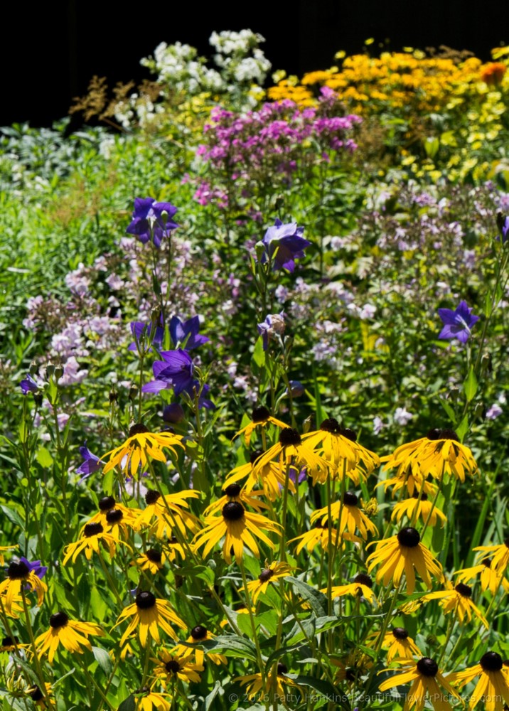 Visiting Miss Florence’s Garden