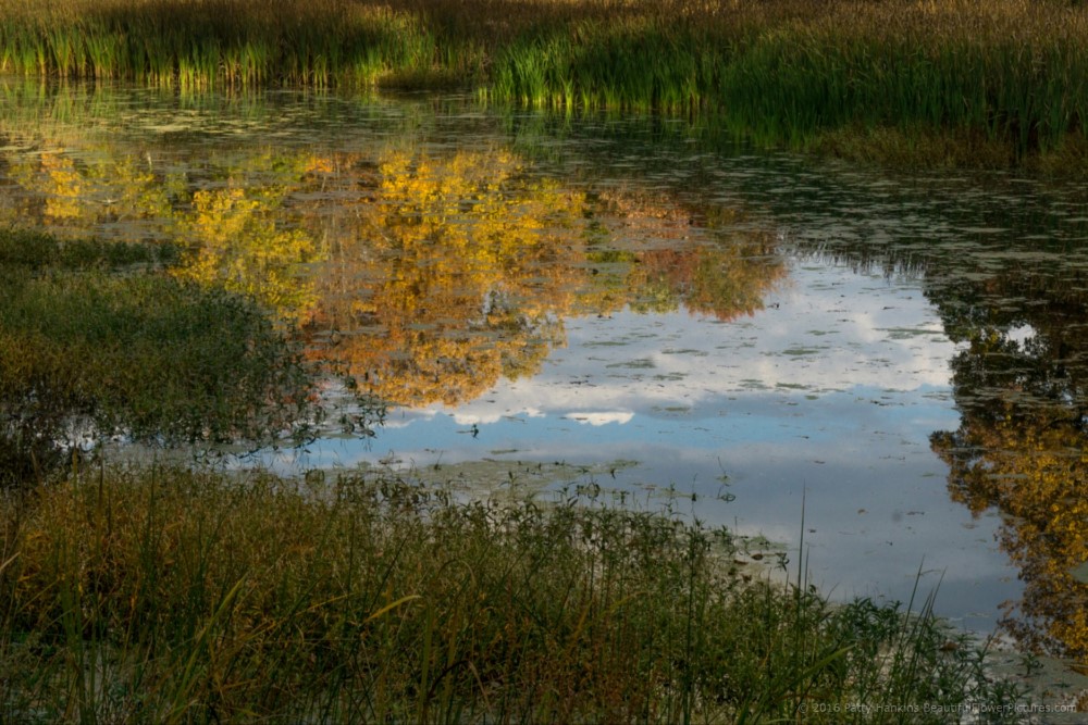 Photos from the Road: Fall in the Hudson River Valley