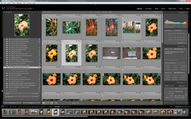 How I Organize My Photos In Lightroom 