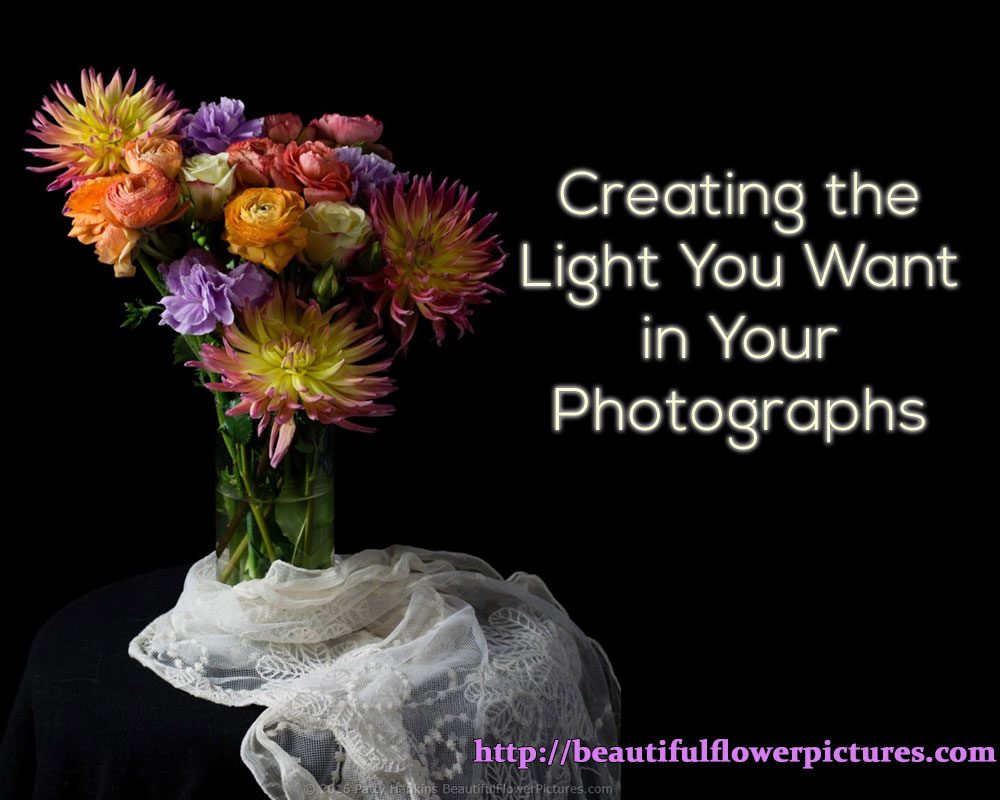 Creating the Light You Want in Your Photographs