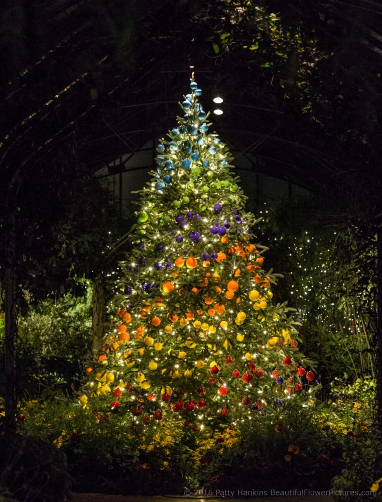 Christmas in the Conservatory – Longwood Gardens – 2016