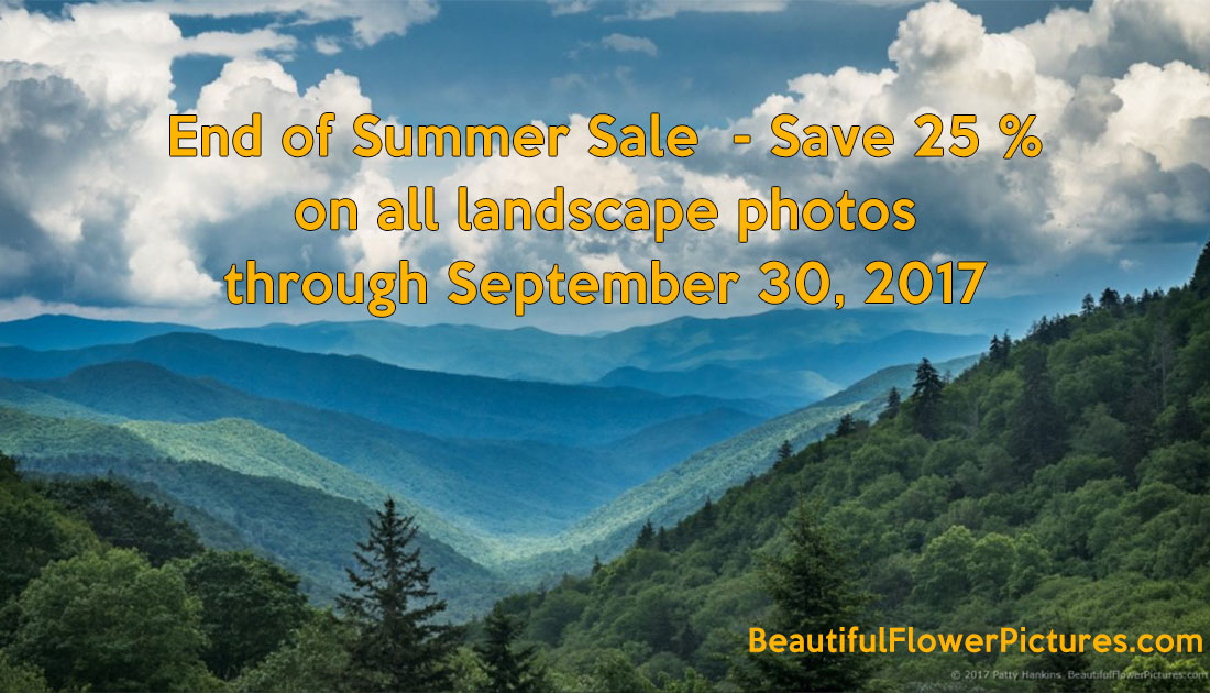 End of Summer Sale – Save 25% on My Landscape Photographs