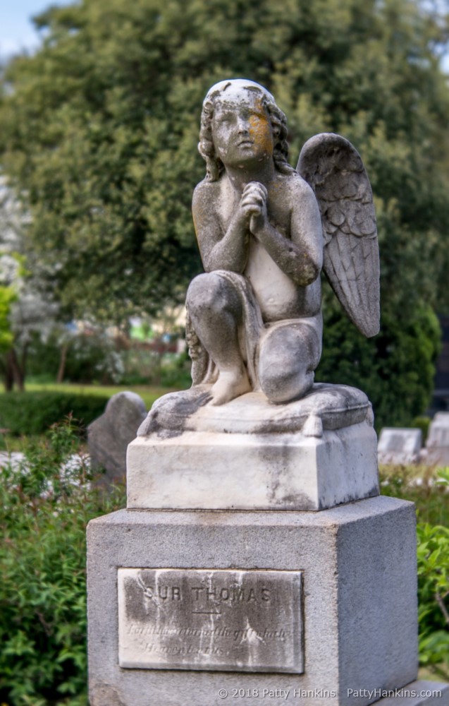 A Visit to Atlanta’s Oakland Cemetery | Beautiful Flower Pictures Blog