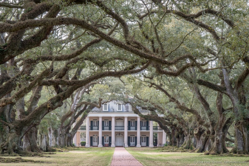 Oak Alley Plantation, Vacharie, Louisiana © 2018 Patty Hankins