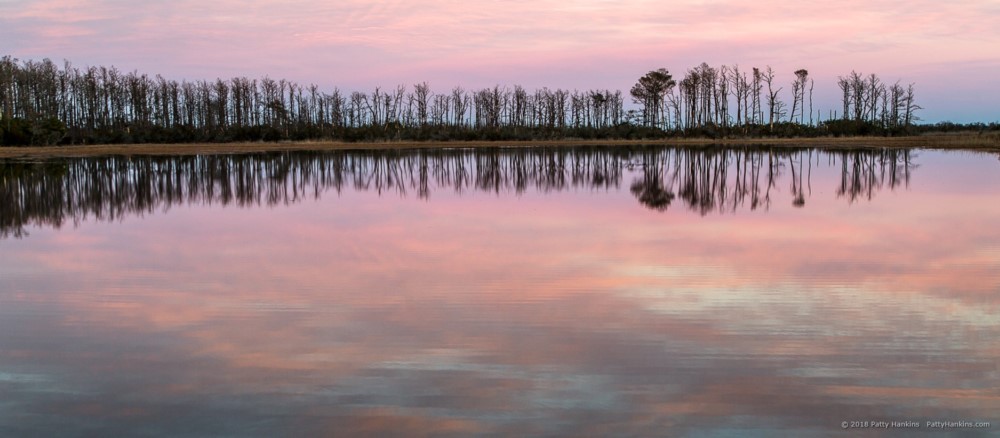 Trees at Sunset, Chincoteague NWR © 2018 Patty Hankins