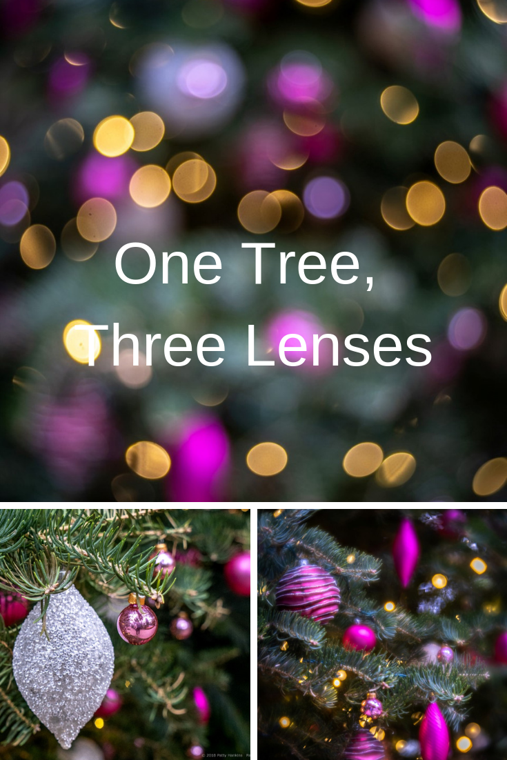 One Tree, Three Lenses – Christmas at Longwood Gardens 2018