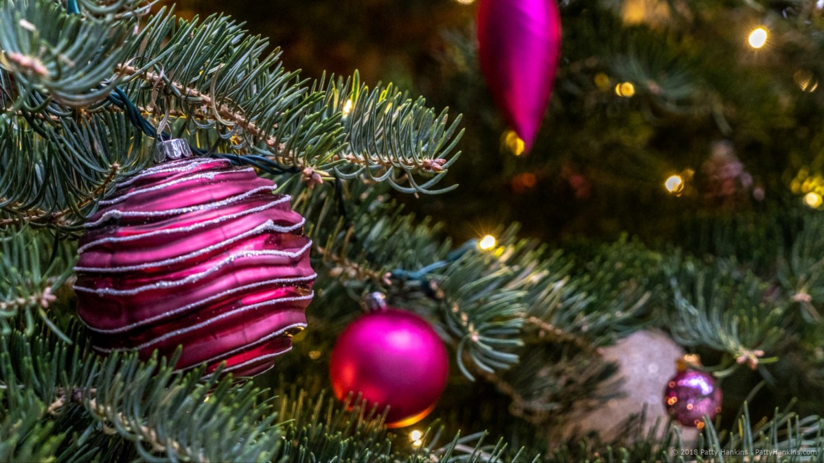One Tree, Three Lenses – Christmas at Longwood Gardens 2018 | Beautiful ...
