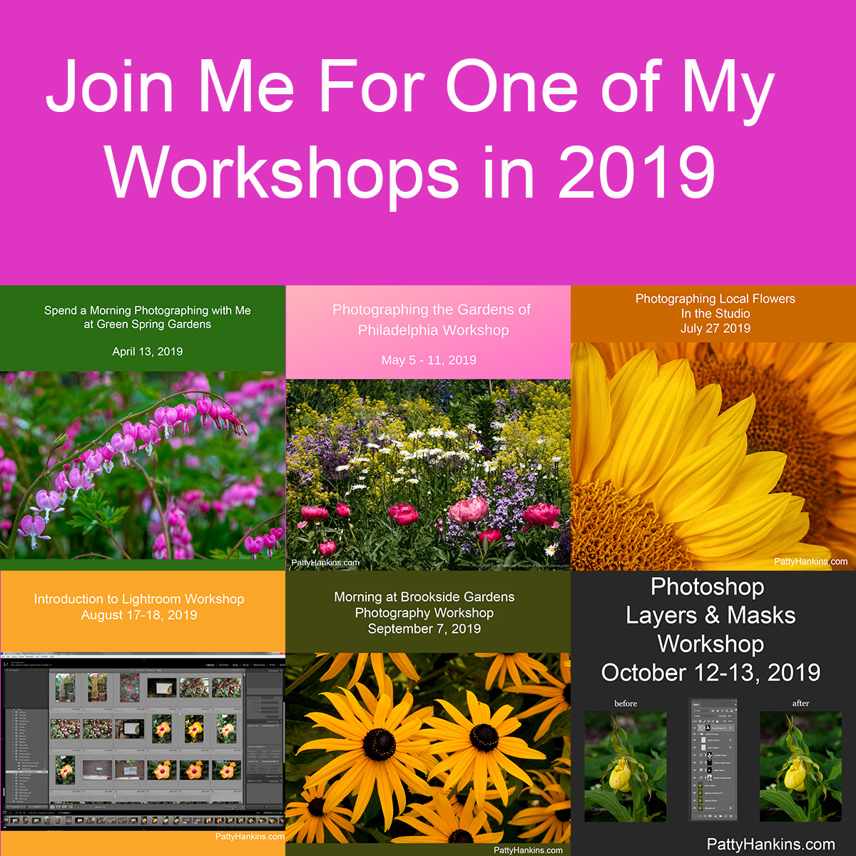 Join Me for One of My Workshops in 2019