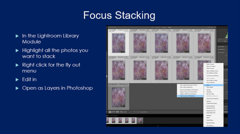 Focus Stacking Step-by-Step Instructions | Beautiful Flower Pictures Blog