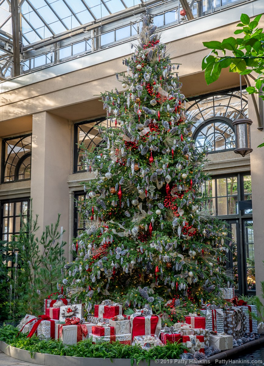 Christmas at Longwood Gardens 2019 - East Conservatory Tree © 2019 Patty Hankins