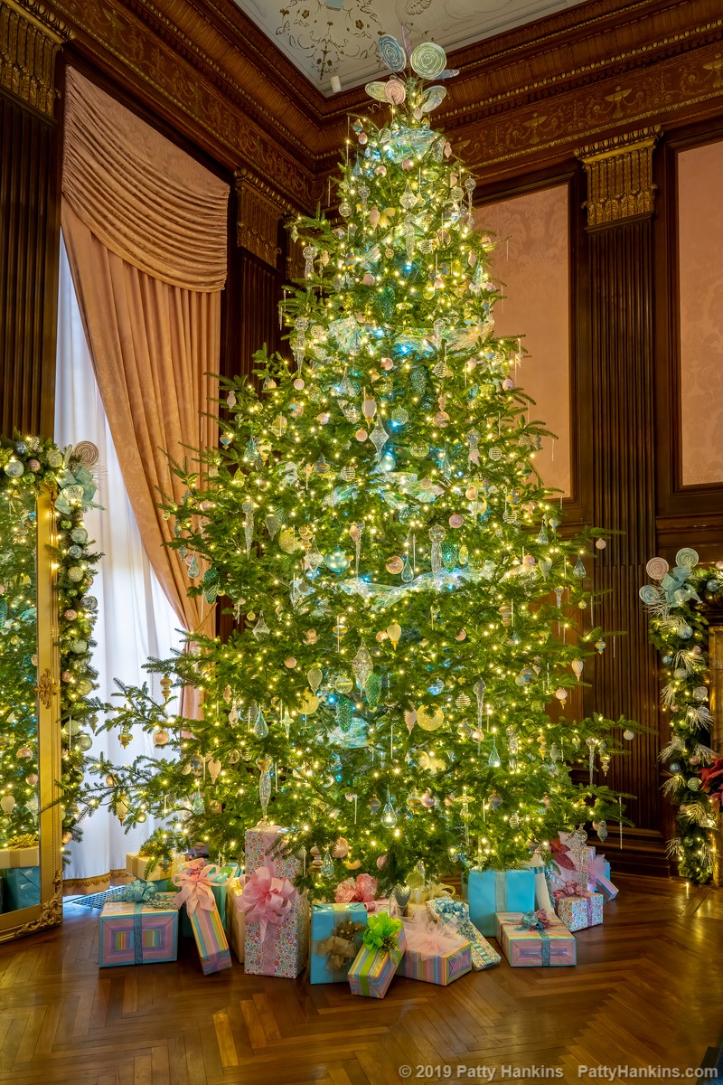 Christmas at Longwood Gardens 2019 - In the Music Room © 2019 Patty Hankins