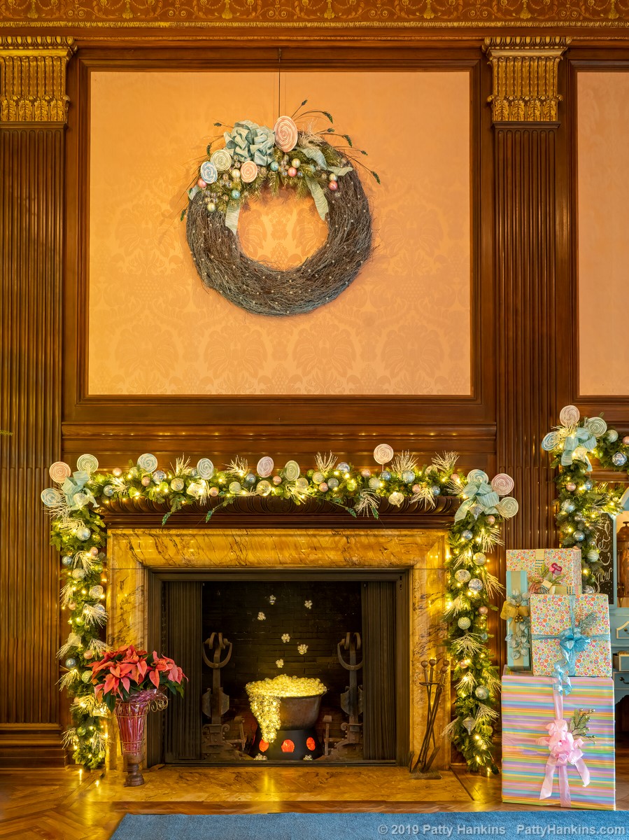 Christmas at Longwood Gardens 2019 - In the Music Room © 2019 Patty Hankins