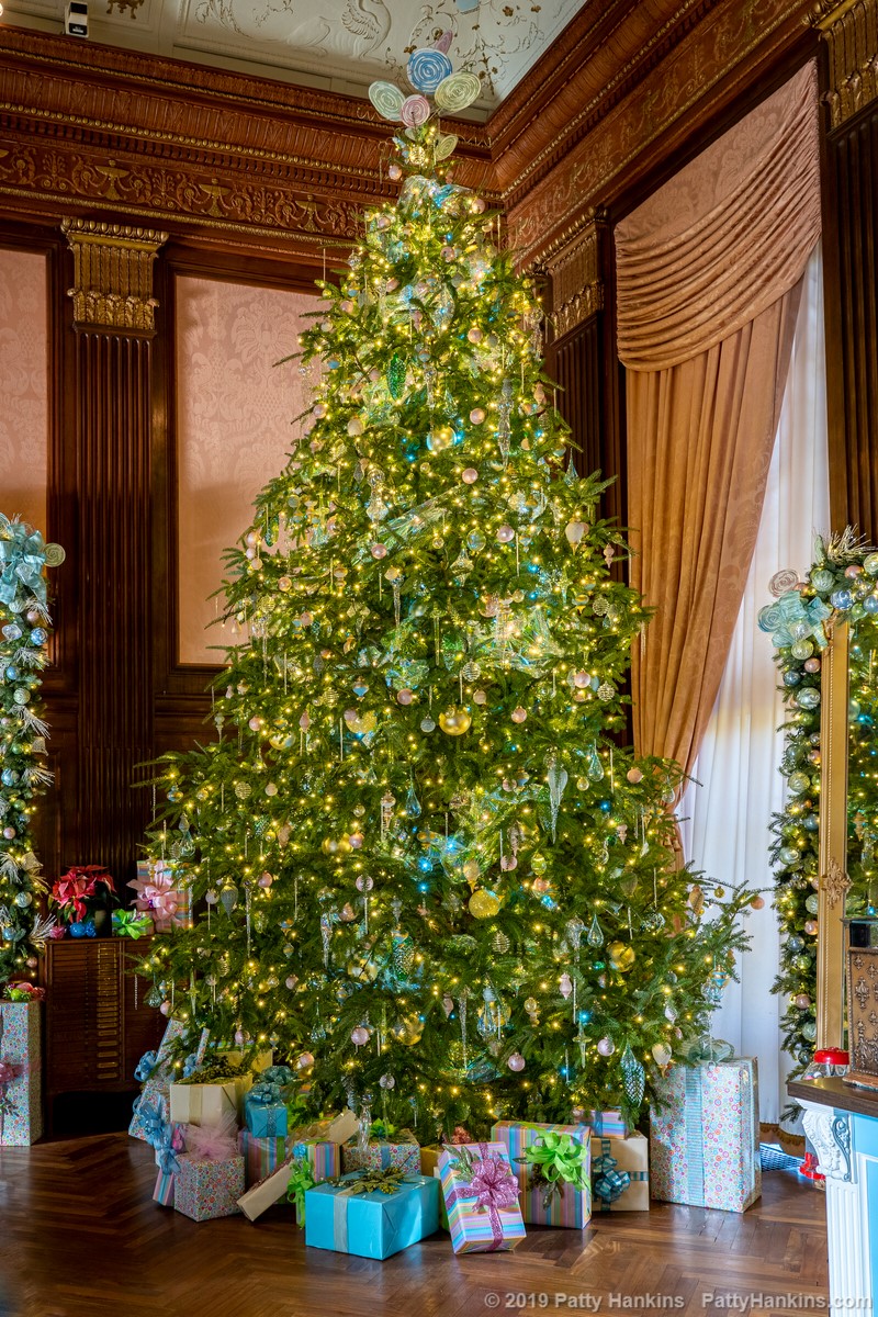 Christmas at Longwood Gardens 2019 - In the Music Room © 2019 Patty Hankins