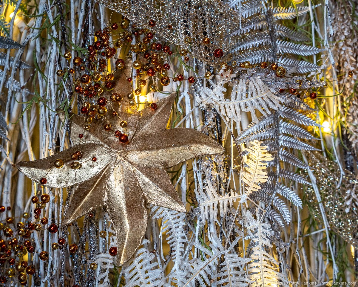 Christmas at Longwood Gardens 2019 - At the Canopy Cathedral Treehouse © 2019 Patty Hankins