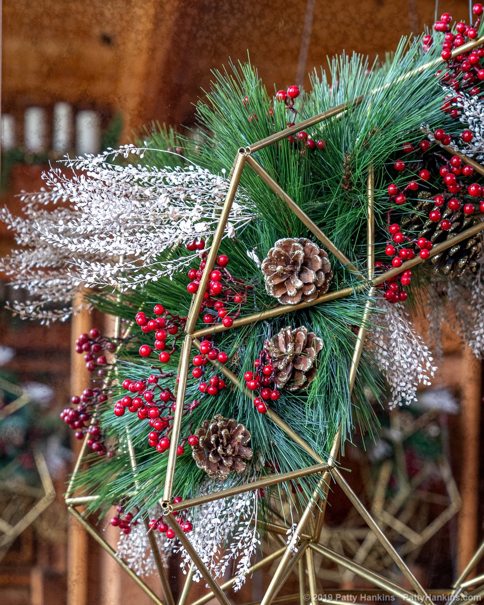 Christmas at Longwood Gardens 2019 - At the Canopy Cathedral Treehouse © 2019 Patty Hankins