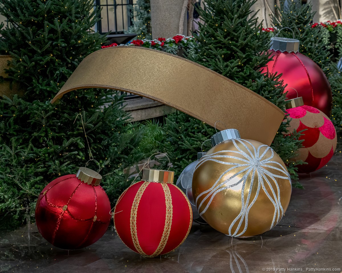 Christmas at Longwood Gardens 2019 - In the Exhibition Hall © 2019 Patty Hankins