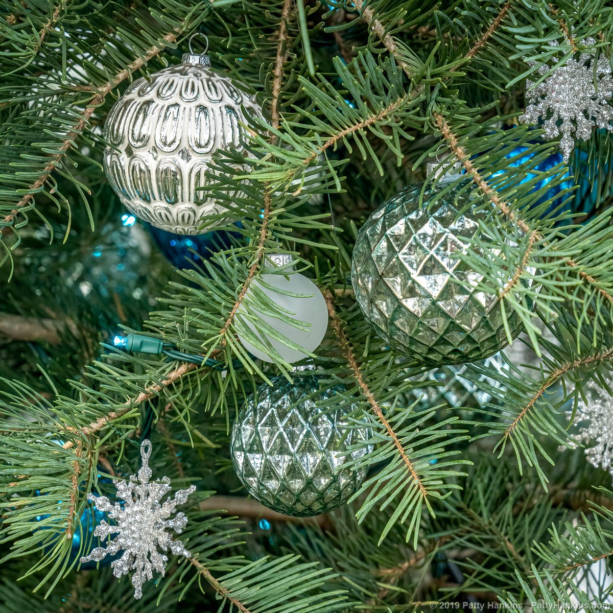 Christmas at Longwood Gardens 2019 – In the Conservatory