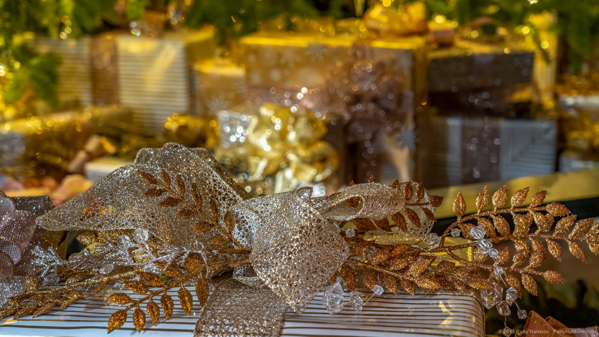 Christmas at Longwood Gardens - In the Organ Room © 2019 Patty Hankins